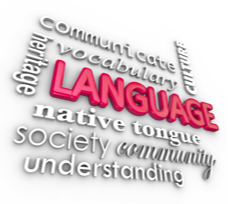 words language and communication