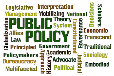 Public-Policy word cloud